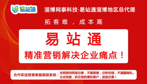 淄博全網推廣軟件 網泰科技賦能企業數字化營銷新篇章