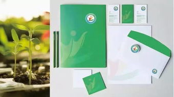 卓藝匠心 淄博高新區(qū)第五小學(xué)品牌形象與校園文化設(shè)計融合軟件設(shè)計新思維